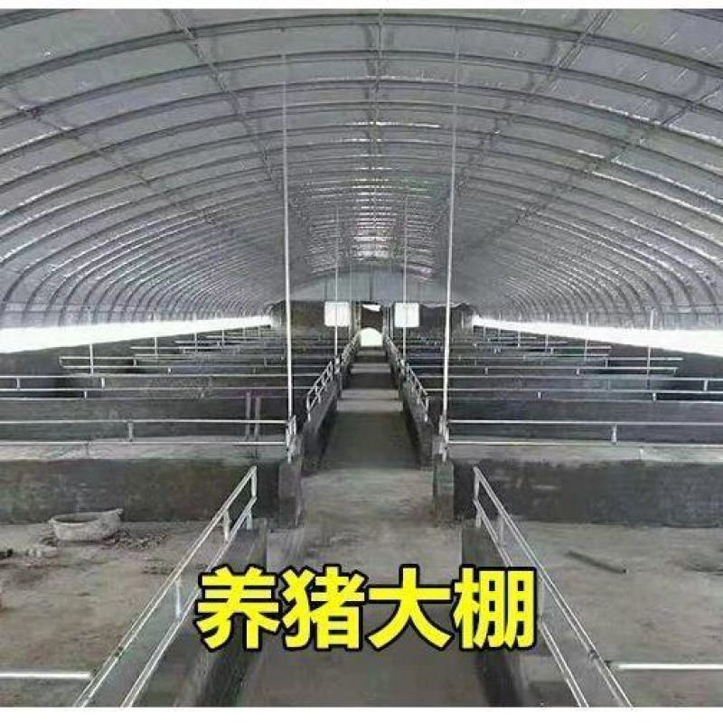 养殖大棚各种规格齐全品类齐全欢迎随时考察欢迎来电洽谈