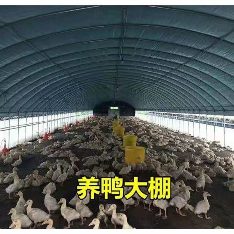 养殖大棚各种规格齐全品类齐全欢迎随时考察欢迎来电洽谈