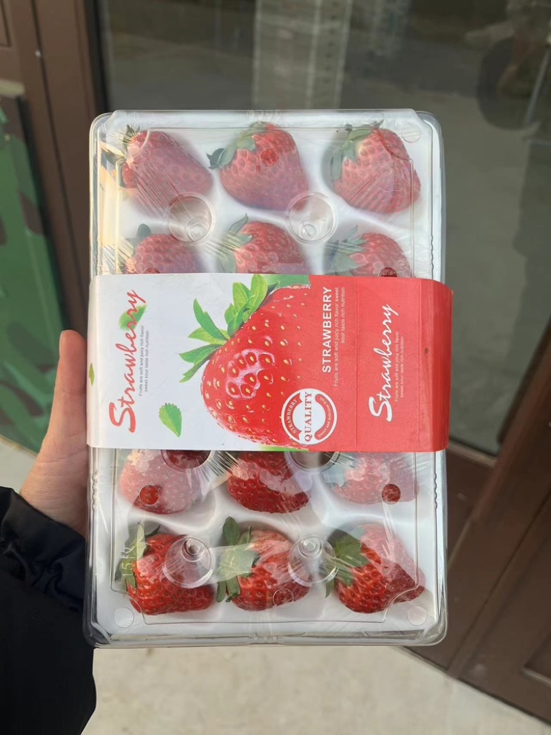 草莓丹东九九草莓水晶盒产地直供一件代发价格合理
