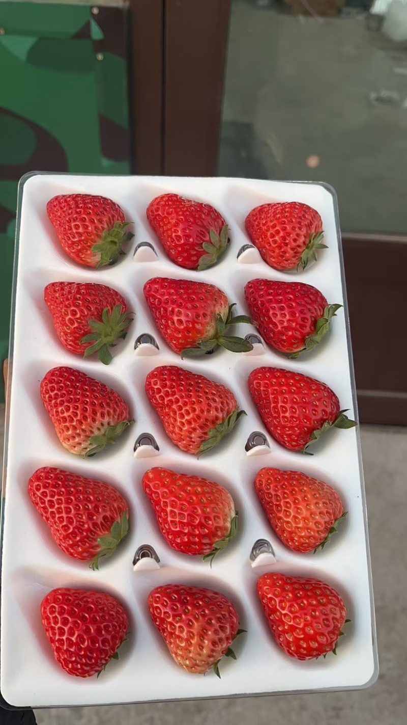 草莓丹东九九草莓水晶盒产地直供一件代发价格合理