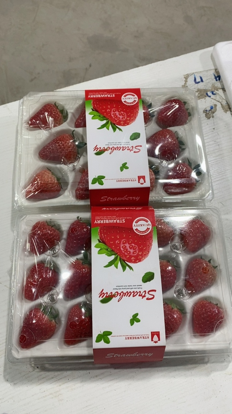 草莓丹东九九草莓水晶盒产地直供一件代发价格合理