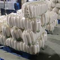 精品白萝卜大量上市，全国发货，量大从优，可视频看货