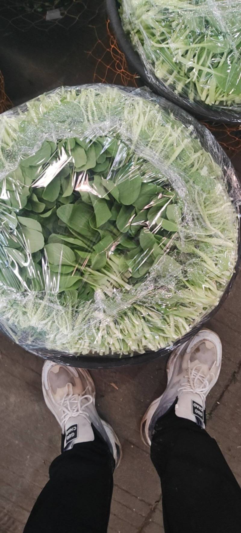 每天有货
