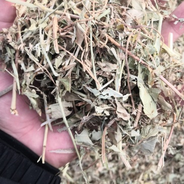 我们提供优质的花生秧饲料，适用于牛、羊和马等多种家畜
