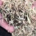 我们提供优质的花生秧饲料，适用于牛、羊和马等多种家畜