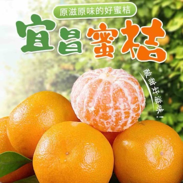 宜昌蜜桔酸甜薄皮无籽，产地一手货源，可对接各种平台