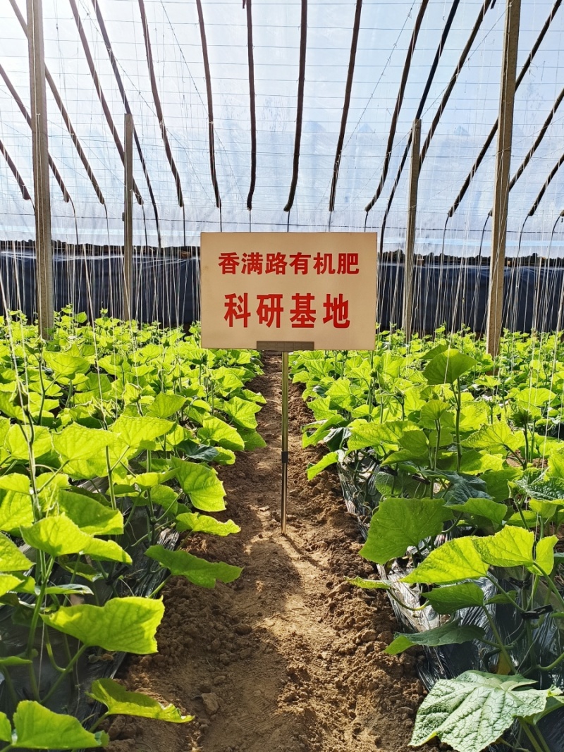 济南鸡粪,济宁发酵鸡粪,淄博稻壳鸡粪,青岛鸡粪有机肥肥田