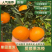 爱媛果冻橙