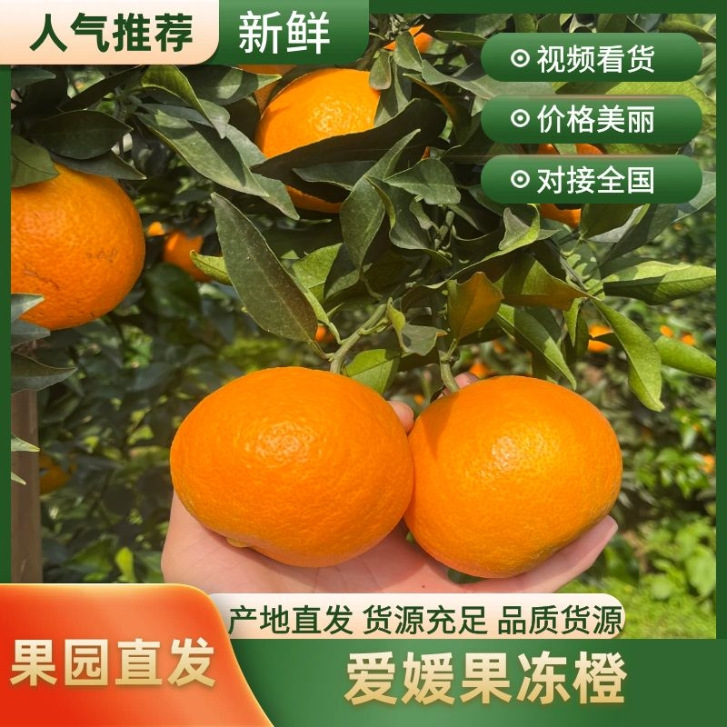 爱媛果冻橙