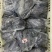 纯干乌鸡质量很好量大从优全国发货