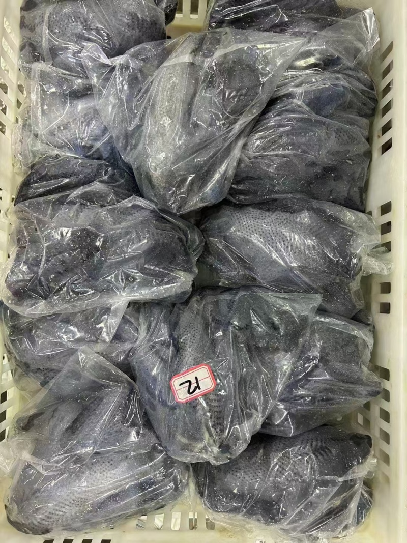 纯干乌鸡质量很好量大从优全国发货