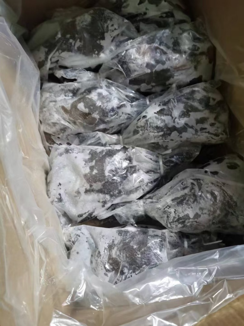 纯干乌鸡质量很好量大从优全国发货