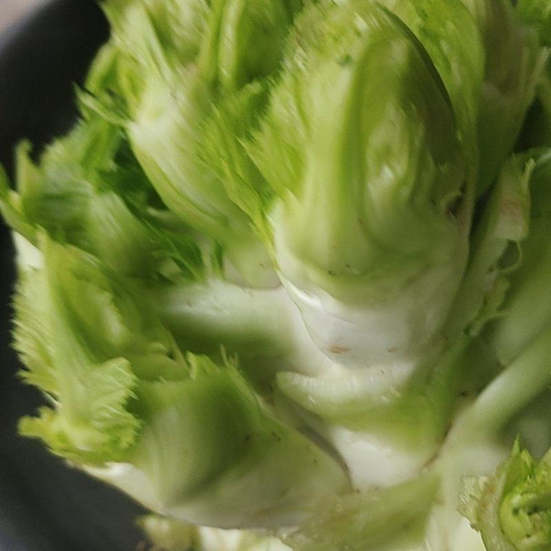 儿菜