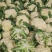 【****】湖北新鲜白花菜新鲜蔬菜花菜散农家白花菜实花菜