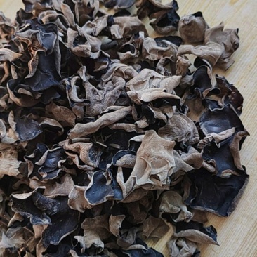 黑龙江牡丹江春天第一茬黒木耳，