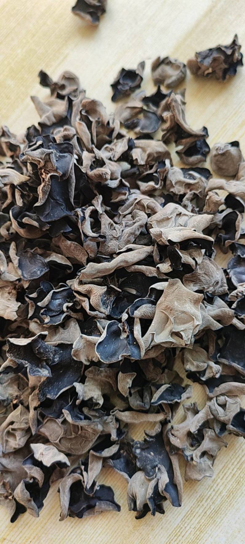黑龙江牡丹江春天第一茬黒木耳，
