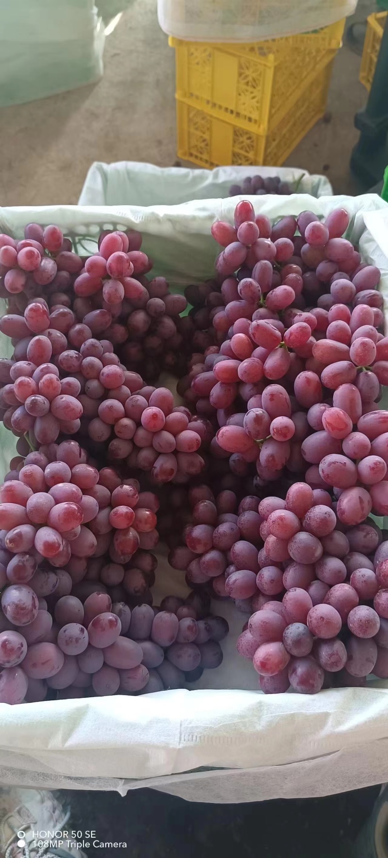 葡萄