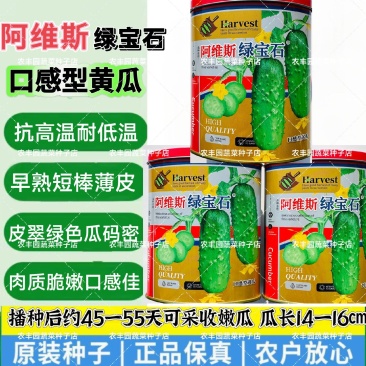 新版阿维斯绿宝石黄瓜种子水果黄瓜种子甜脆清香薄皮短棒型刺