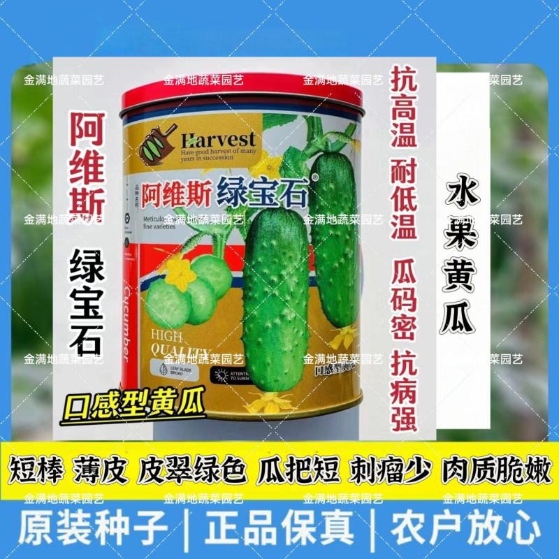 新版阿维斯绿宝石黄瓜种子水果黄瓜种子甜脆清香薄皮短棒型刺