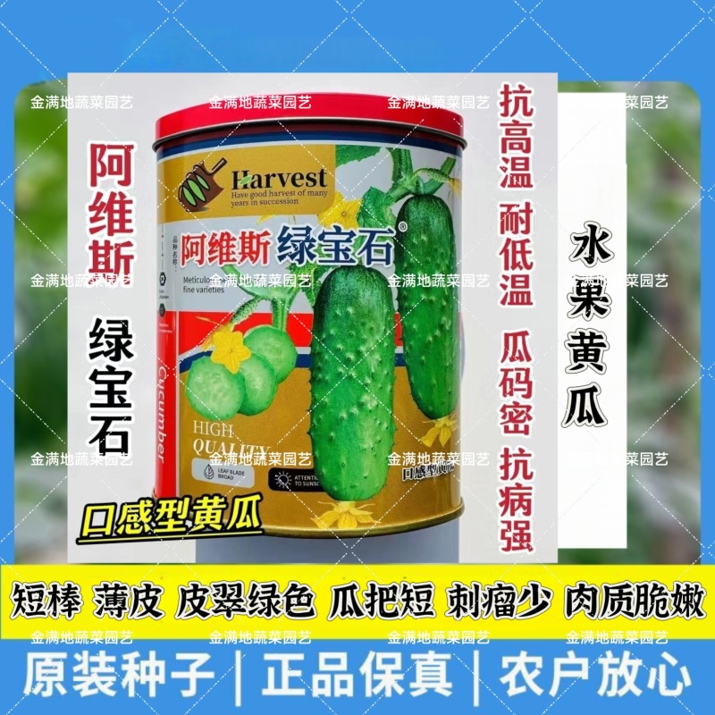 新版阿维斯绿宝石黄瓜种子水果黄瓜种子甜脆清香薄皮短棒型刺