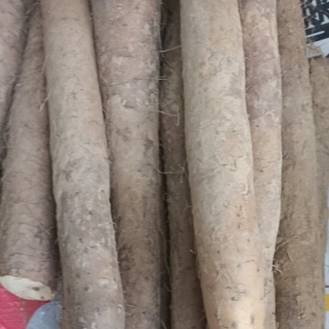 白玉山药无黑皮，没裂口电商货