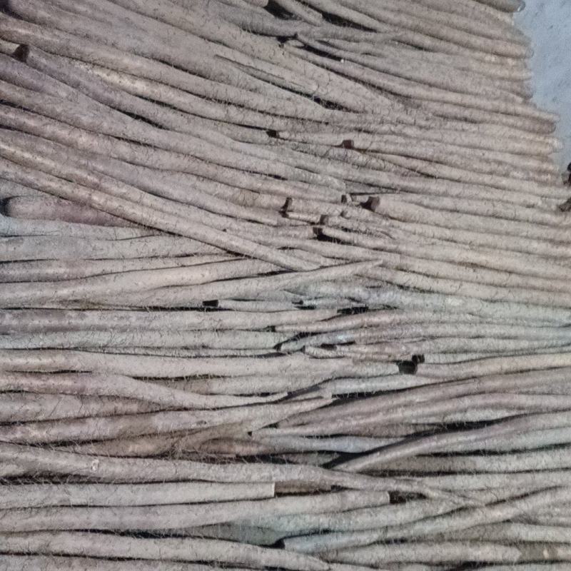 白玉山药长条