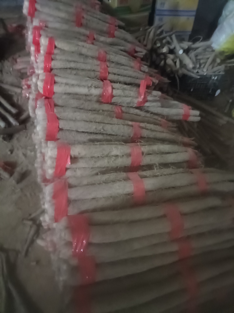 白玉山药长条