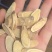 黄芪片野生特级黄芪中药材正品泡水配党参