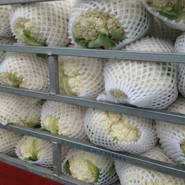 质量**，大量有货