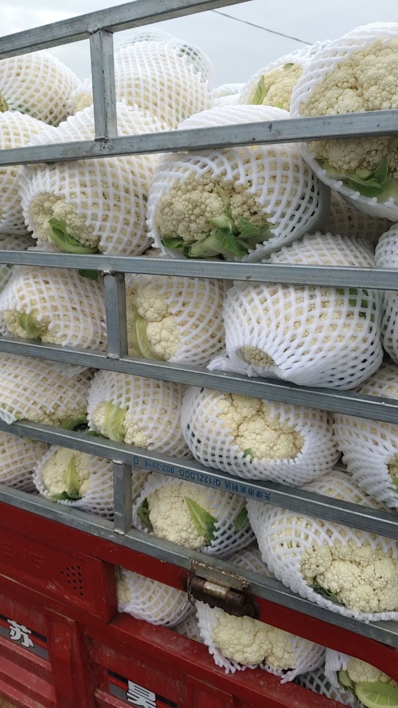 质量**，大量有货