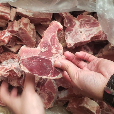 国产多肉猪龙骨块