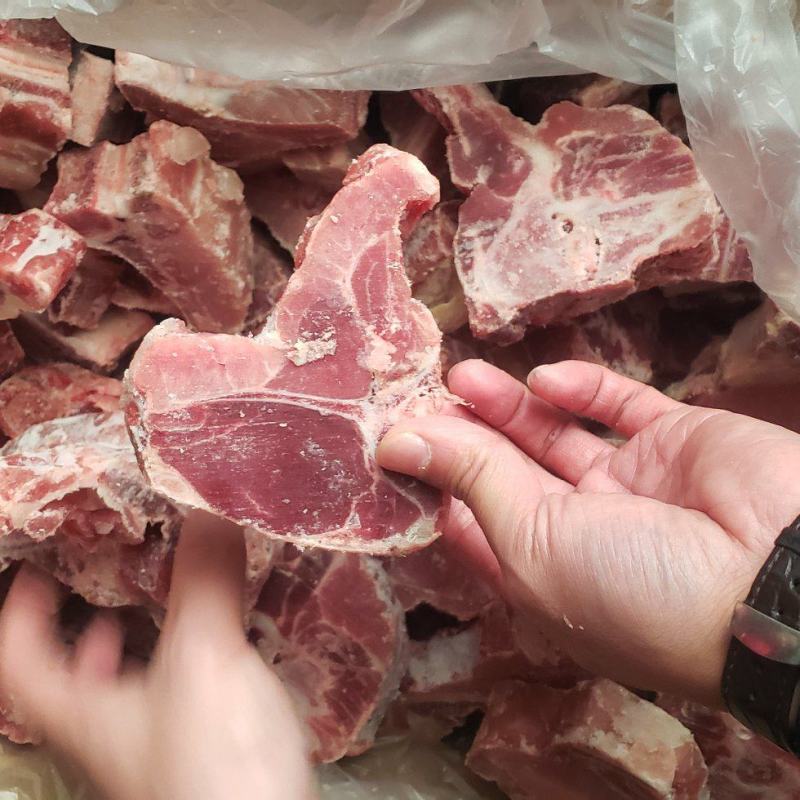 国产多肉猪龙骨块