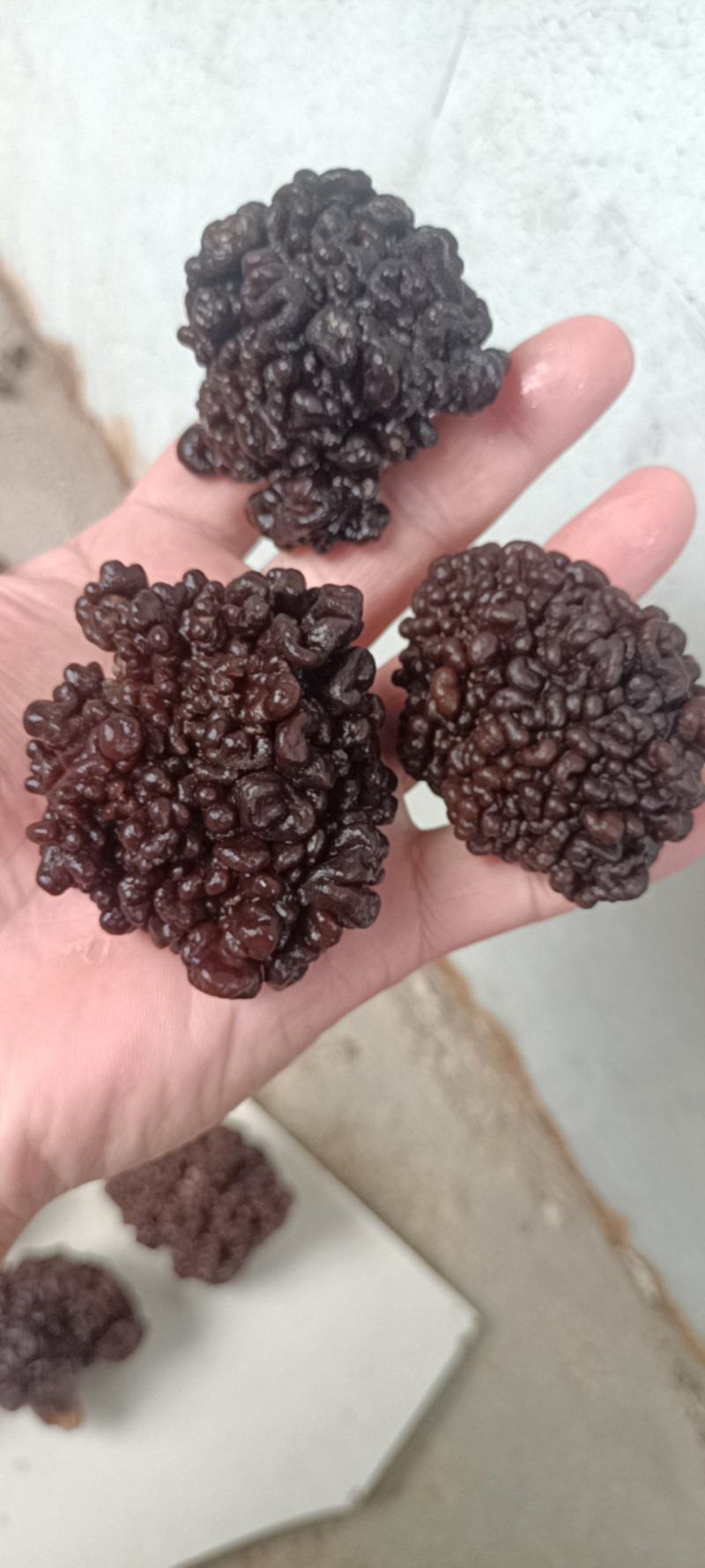 猴脑菌精品核桃菌自产自销基地一手货源批发零售