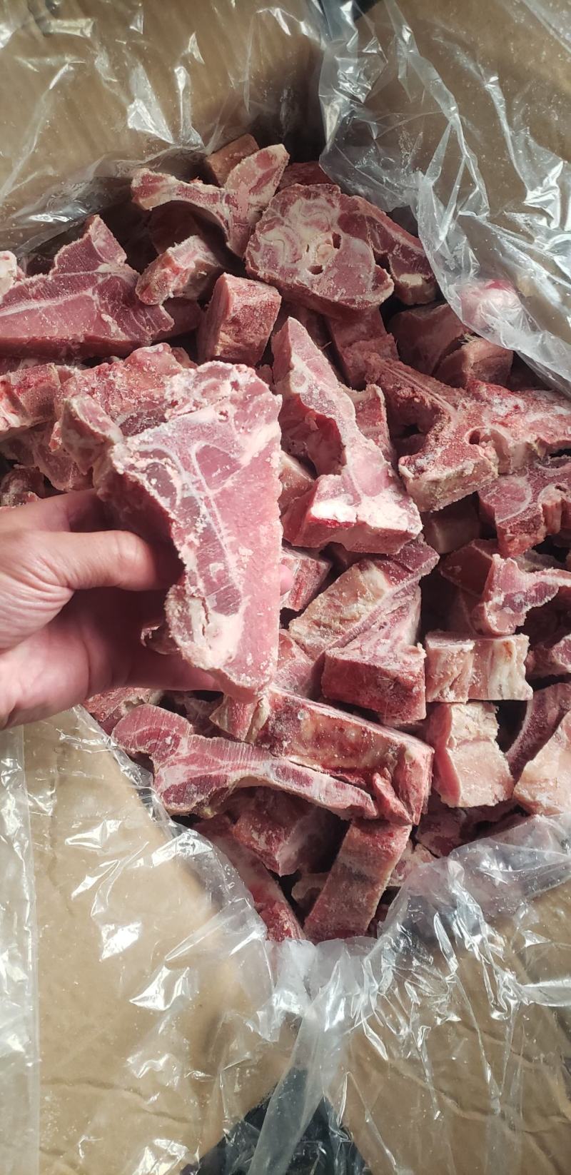 国产多肉猪龙骨块
