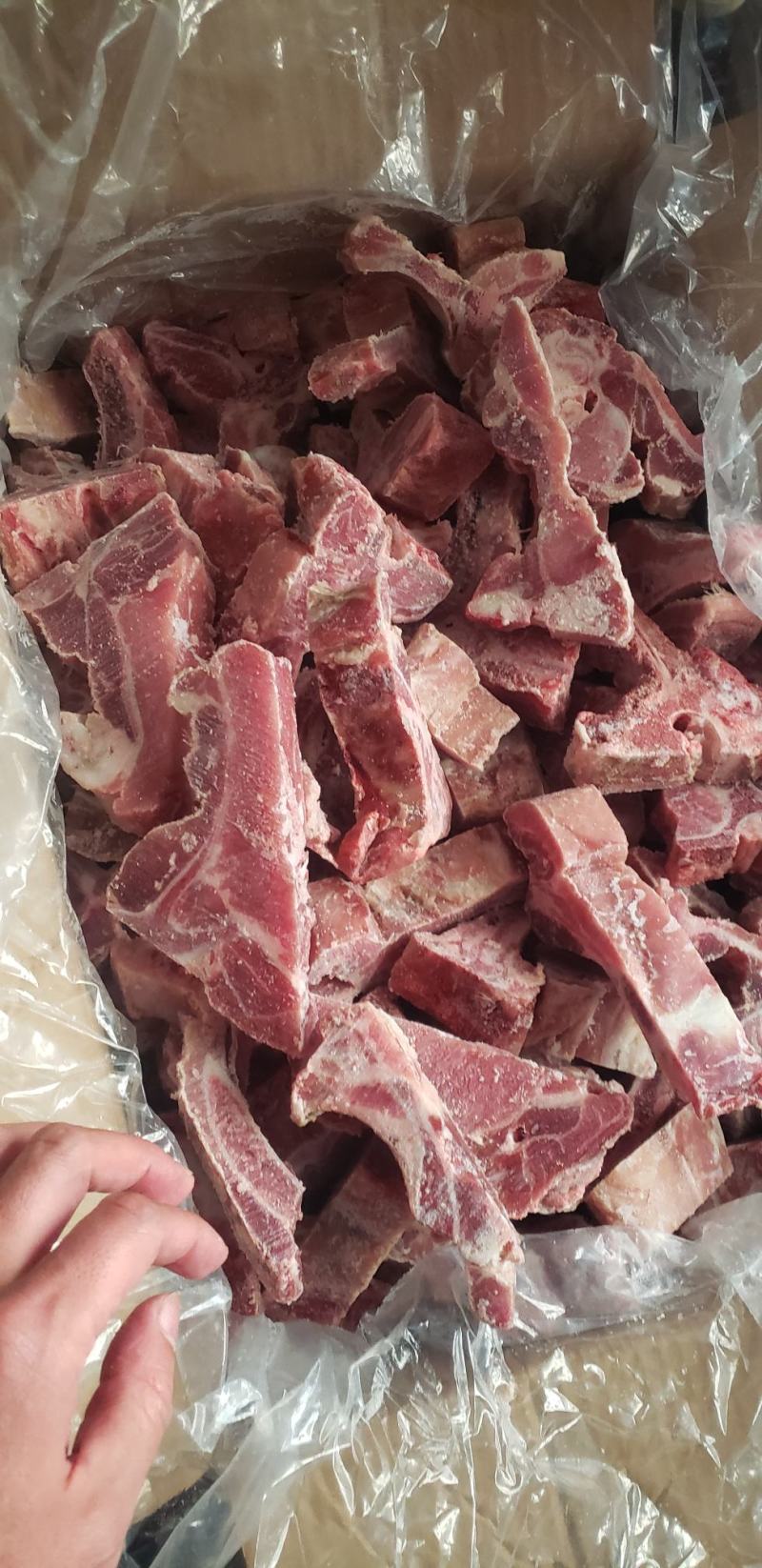 国产多肉猪龙骨块