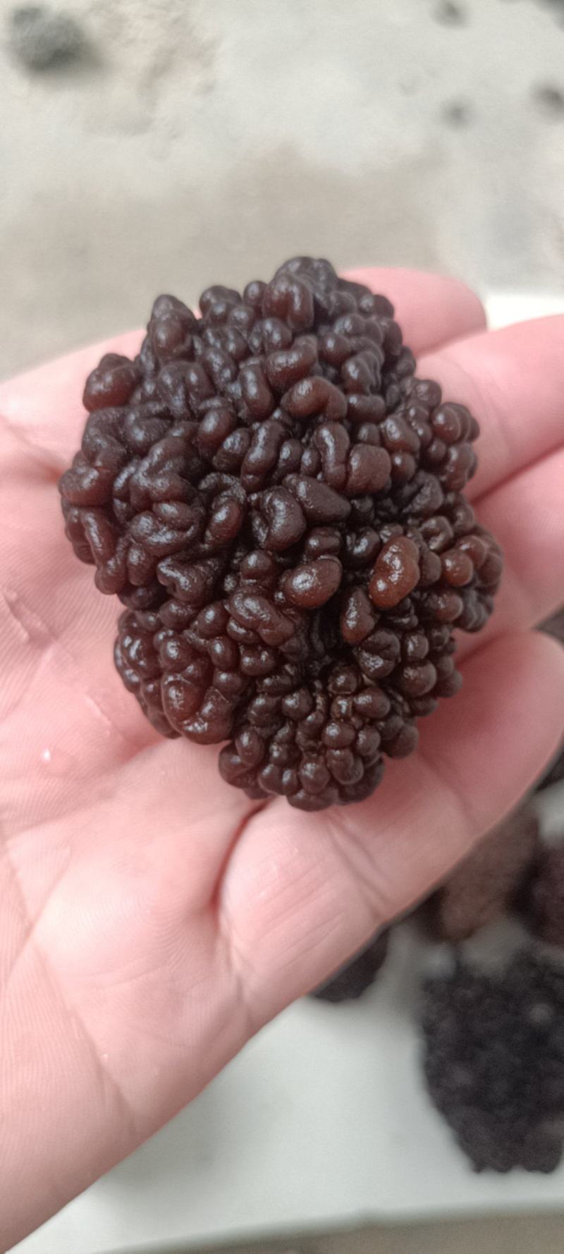 猴脑菌精品核桃菌自产自销基地一手货源批发零售
