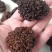 猴脑菌精品核桃菌自产自销基地一手货源批发零售