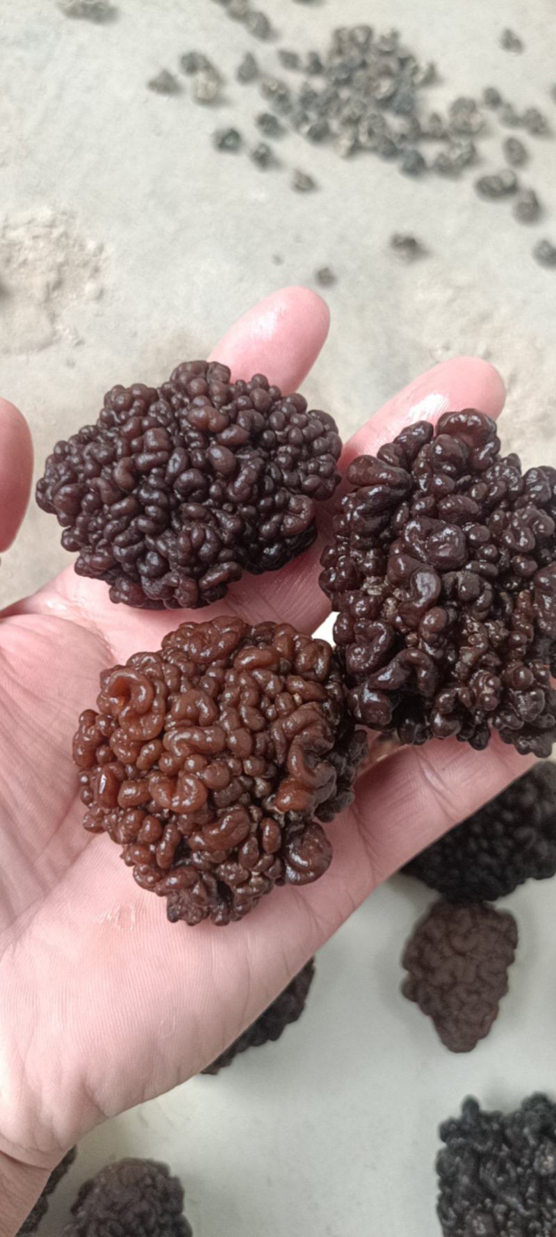 猴脑菌精品核桃菌自产自销基地一手货源批发零售