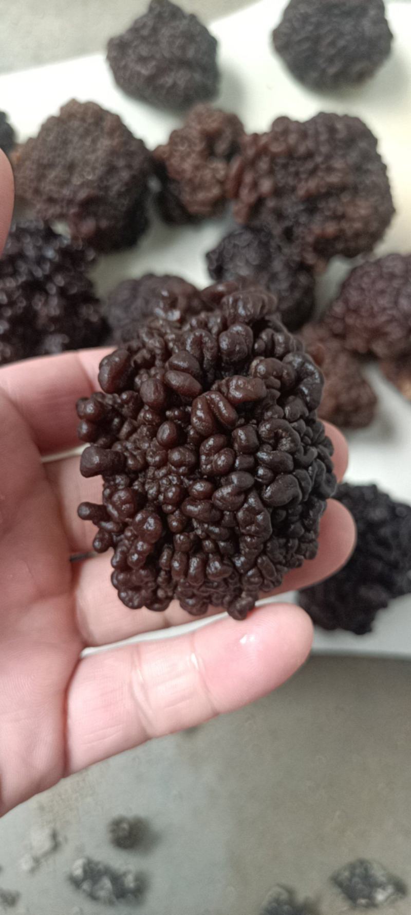 猴脑菌精品核桃菌自产自销基地一手货源批发零售