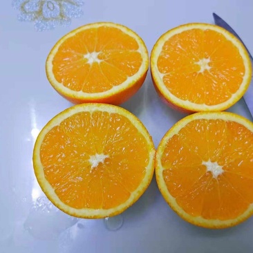 纽荷尔脐橙