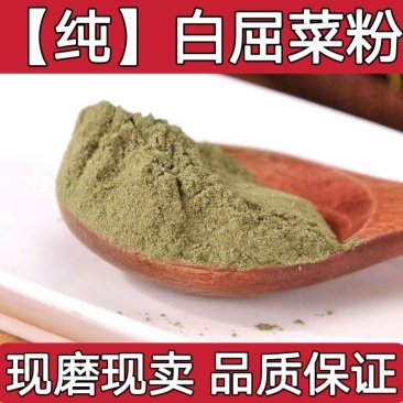 白屈菜