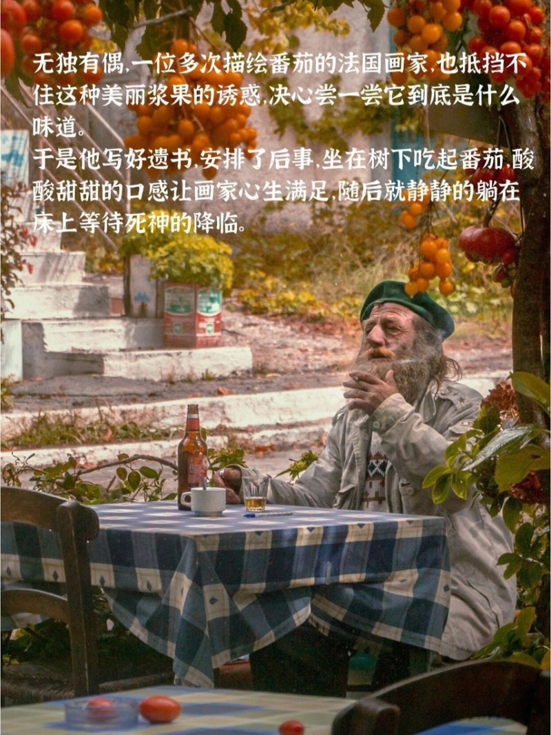 番茄攀枝花草莓心沙瓤番茄狼桃果