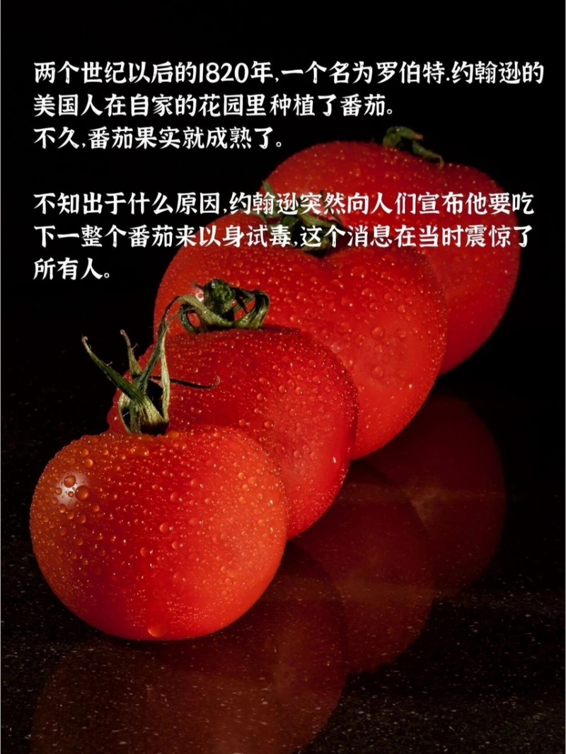 番茄攀枝花草莓心沙瓤番茄狼桃果