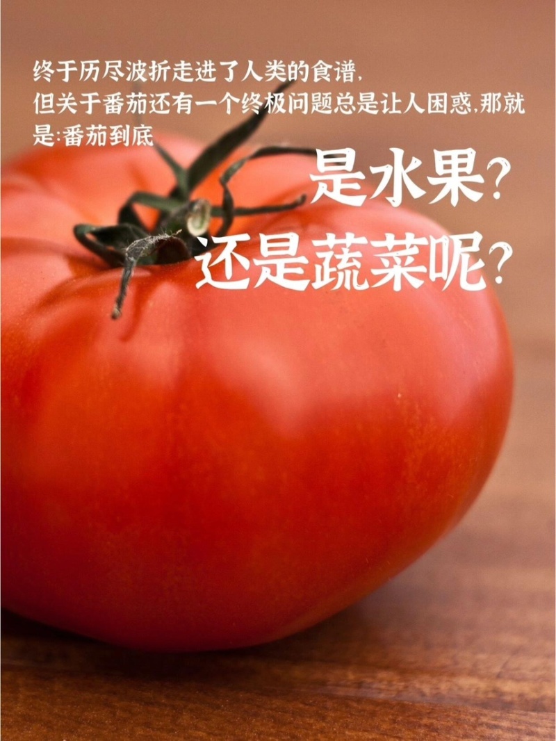 番茄攀枝花草莓心沙瓤番茄狼桃果