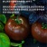 番茄攀枝花草莓心沙瓤番茄狼桃果