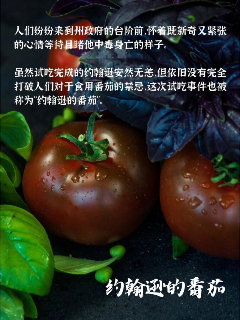 番茄攀枝花草莓心沙瓤番茄狼桃果