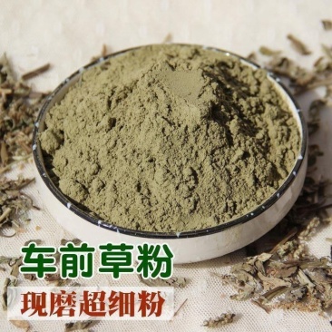 车前草粉现磨纯超细粉中药材车前草纯正中药材多规格