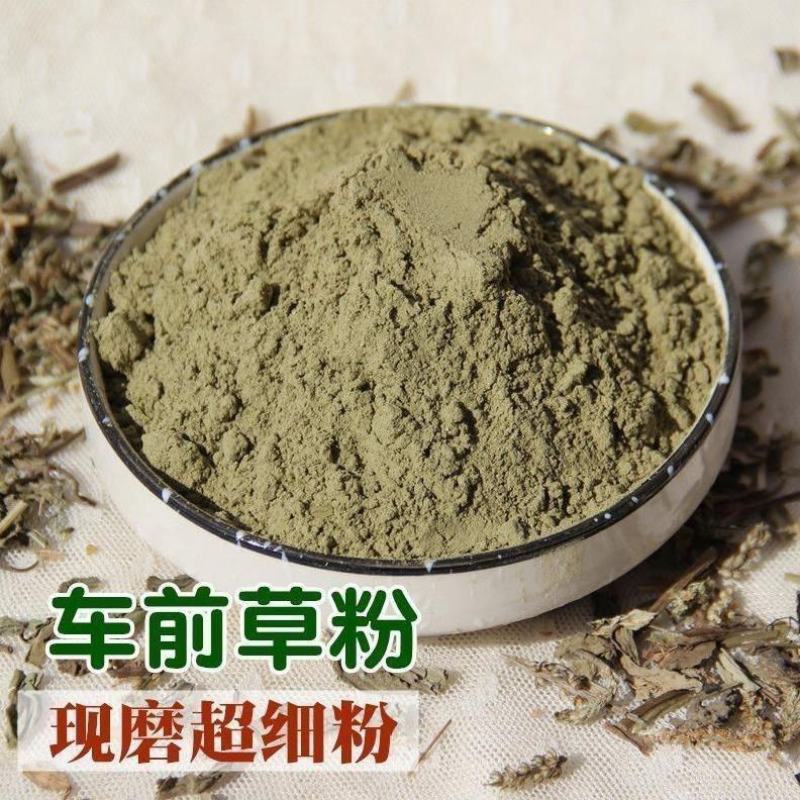 车前草粉现磨纯超细粉中药材车前草纯正中药材多规格
