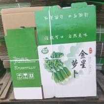 金星萝卜