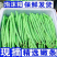 【精品四季豆】广东无筋豆/条形优美/产地货源/全国代办